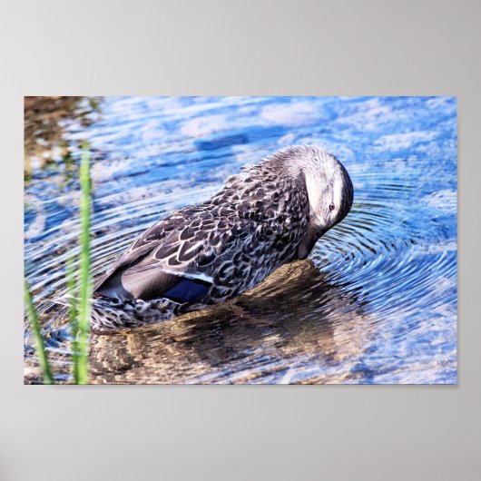 Der wachsende Effekt Poster (Vorne)