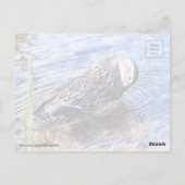 Der wachsende Effekt Postkarte (Rückseite)