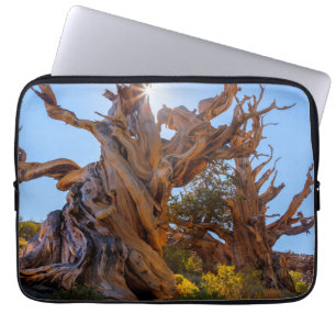 Der Wächterbaum Laptopschutzhülle