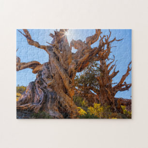 Der Wächterbaum Puzzle