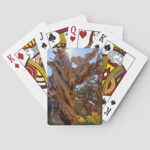 Der Wächterbaum Spielkarten