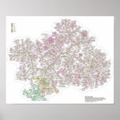 Der wahre Baum des Lebens Poster (Vorne)