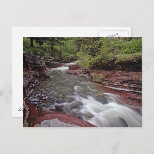 Der wahre Reichtum des Südens Postkarte (Vorne/Hinten)