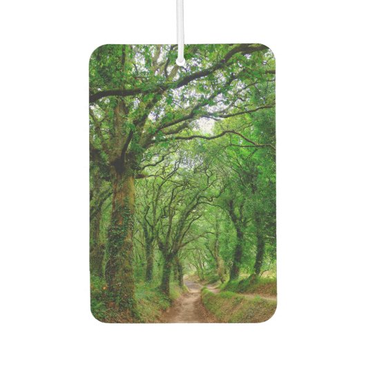 Der Wald außerhalb von Palas de Rey Autolufterfrischer (Vorderseite)