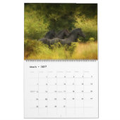 Der Wald-Boyz - Nie nur ein Kalender (Mär 2027)