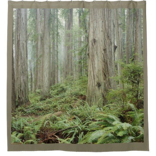 DER WALD DUSCHVORHANG (Vorderseite)