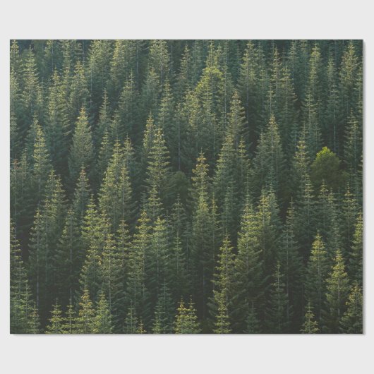 Der Wald Geschenkpapier (Flach)