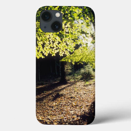 Der Wald im Frühling Case-Mate iPhone Hülle (Rückseite)