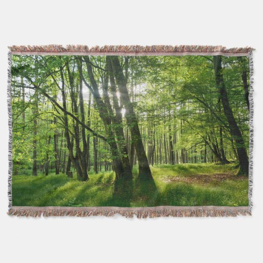 Der Wald im Frühling Decke (Vorderseite)