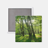 Der Wald im Frühling Magnet (Vorderseite/Rückseite)