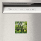 Der Wald im Frühling Magnet (In Situ (Geschirrspüler))