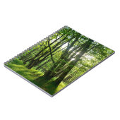 Der Wald im Frühling Notizblock (Linke Seite)
