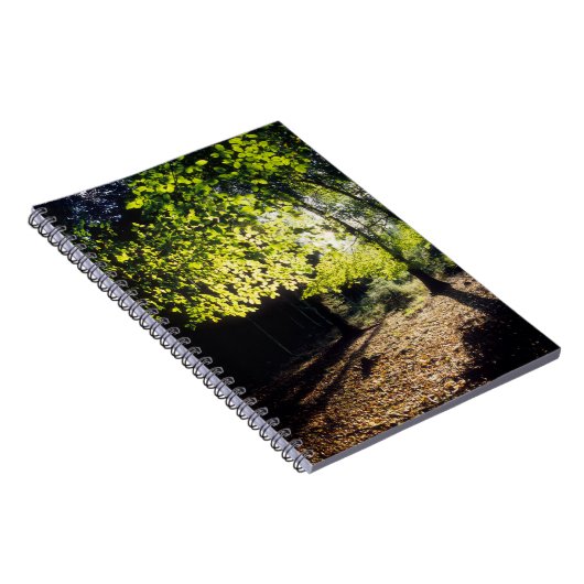 Der Wald im Frühling Notizblock (Rechte Seite)