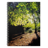 Der Wald im Frühling Notizblock (Vorderseite)