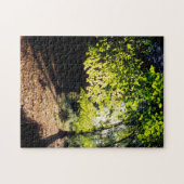 Der Wald im Frühling Puzzle (Horizontal)
