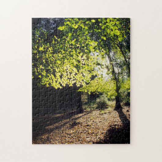 Der Wald im Frühling Puzzle (Vertikal)