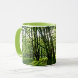 Der Wald im Frühling Tasse