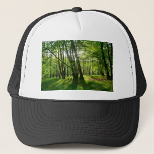 Der Wald im Frühling Truckerkappe