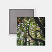 Der Wald Magnet (Vorderseite/Rückseite)
