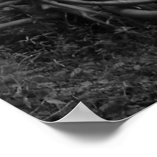 Der Wald Poster (Ecke)