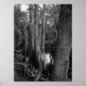 Der Wald Poster (Vorne)