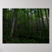 Der Wald Poster (Vorne)