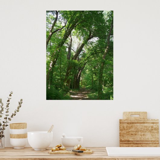 Der Wald Poster (Küche)