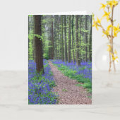 Der Wald von Halle | Halle, Belgien Karte (Gelbe Blume)