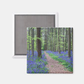 Der Wald von Halle | Halle, Belgien Magnet (Vorderseite/Rückseite)
