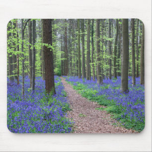 Der Wald von Halle Halle, Belgien Mousepad
