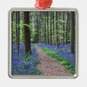 Der Wald von Halle Halle, Belgien Ornament Aus Metall