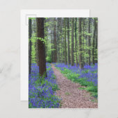 Der Wald von Halle | Halle, Belgien Postkarte (Vorne/Hinten)