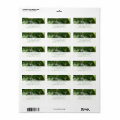 Der Wald von Palmen tropische Natur Adressaufkleber (Vorne)