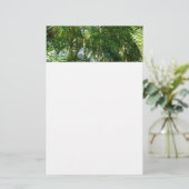 Der Wald von Palmen tropische Natur Briefpapier (Stehend Vorderseite)