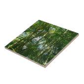 Der Wald von Palmen tropische Natur Fliese (Seite)