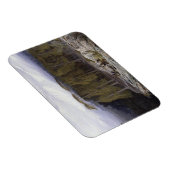 Der Wald von Valdoniello, Korsika, 1869 (Öl auf c Magnet (Rechte Seite)