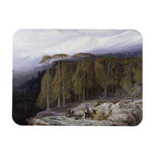 Der Wald von Valdoniello, Korsika, 1869 (Öl auf c Magnet