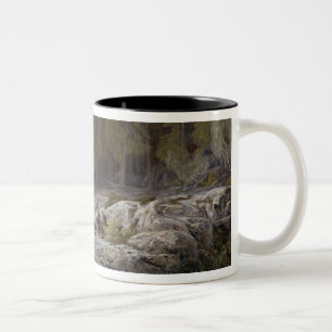 Der Wald von Valdoniello, Korsika, 1869 (Öl auf c Zweifarbige Tasse