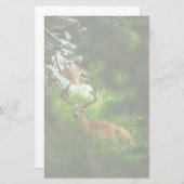 Der Waldfürst Briefpapier (Vorne/Hinten)