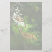 Der Waldfürst Briefpapier (Vorderseite)