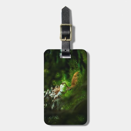 Der Waldfürst Gepäckanhänger (Vorderseite vertikal)