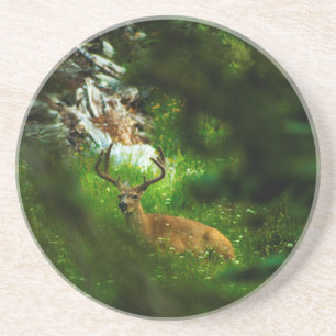 Der Waldfürst Getränkeuntersetzer