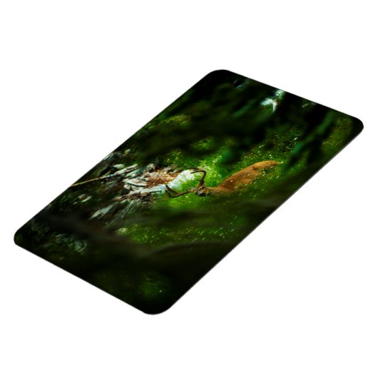 Der Waldfürst Magnet (Linke Seite)