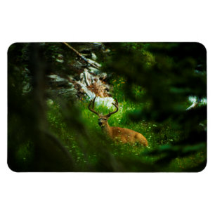 Der Waldfürst Magnet