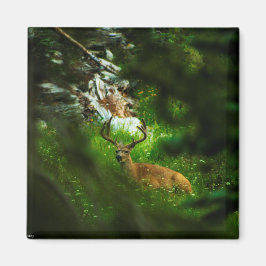 Der Waldfürst Magnet