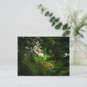 Der Waldfürst Postkarte (Stehend Vorderseite)