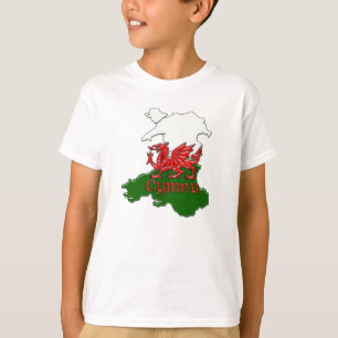 Der Waliser-Drache-T-Shirt Wales Cymru der Kinder T-Shirt
