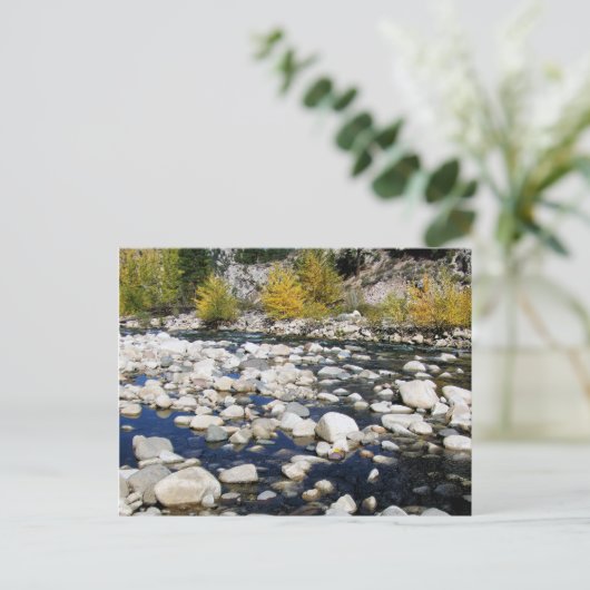 Der Walker im Herbst Postkarte (Stehend Vorderseite)