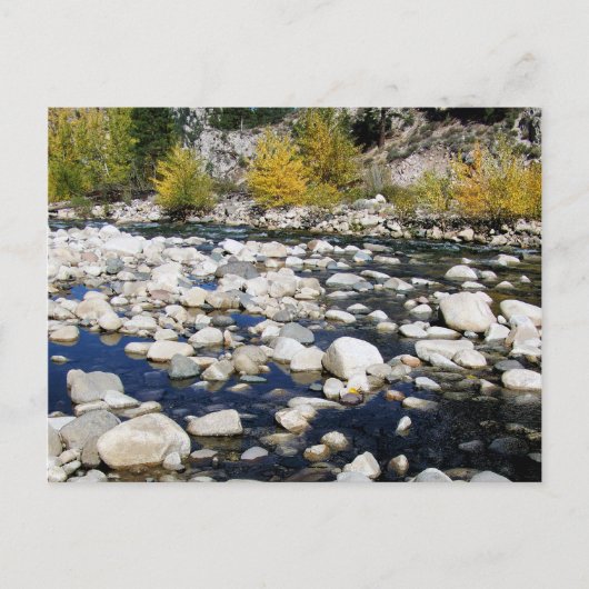 Der Walker River im Herbst Postkarte (Vorderseite)