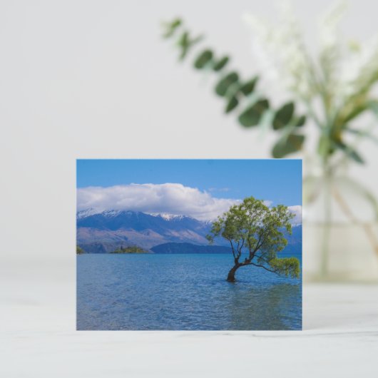 Der Wanaka Baum, See Wanaka, NZ - Postkarte (Stehend Vorderseite)